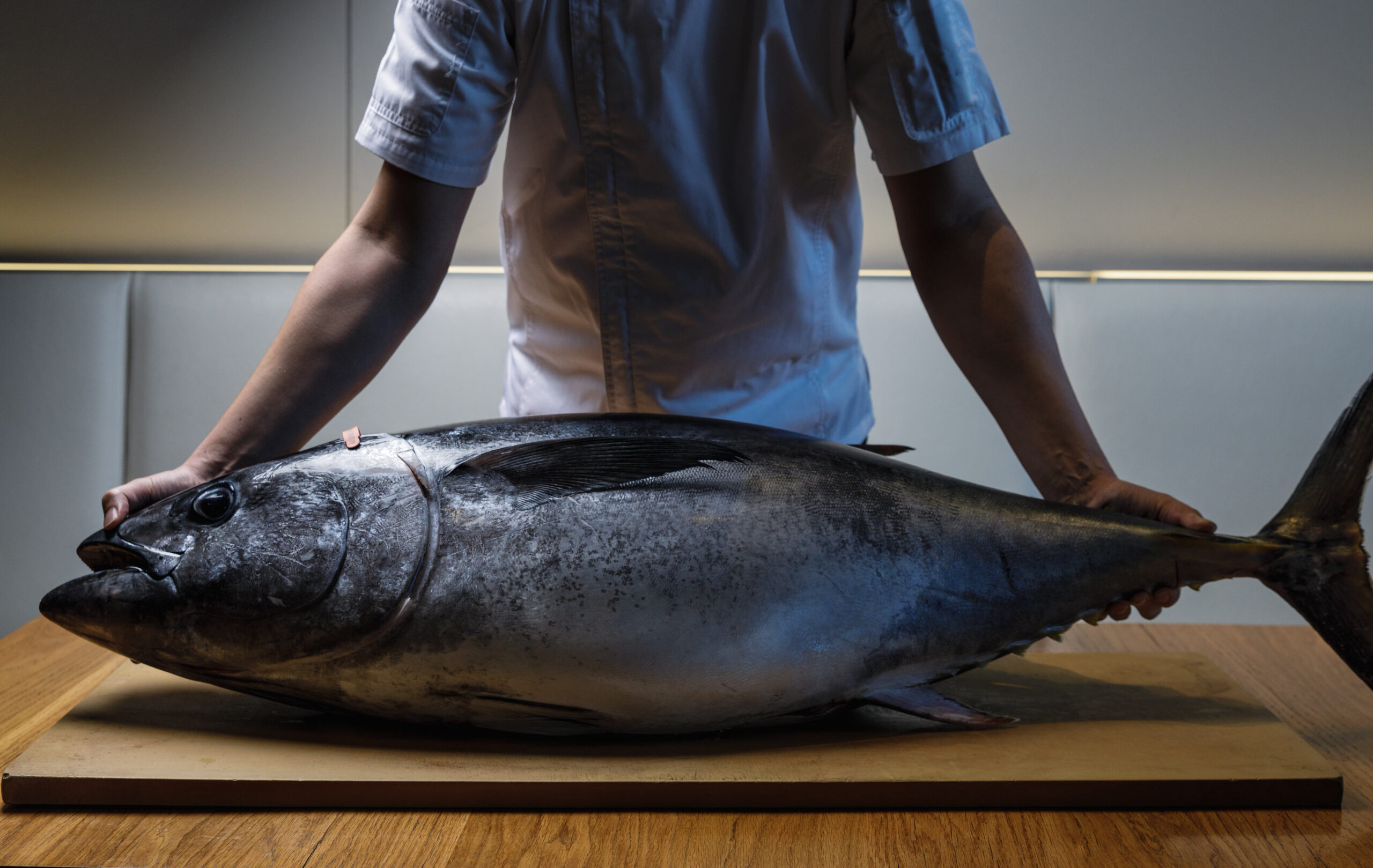 Saké Restaurant & Bar Southern Bluefin Tuna Head To Tail dinner