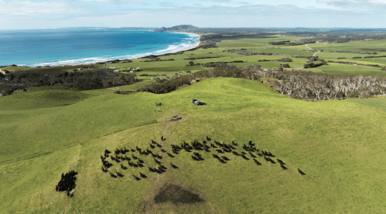 Pasture to Plate